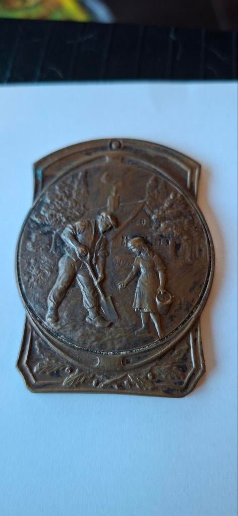 Bronzen medaille/ penning Luik, Postzegels en Munten, Penningen en Medailles, Ophalen of Verzenden