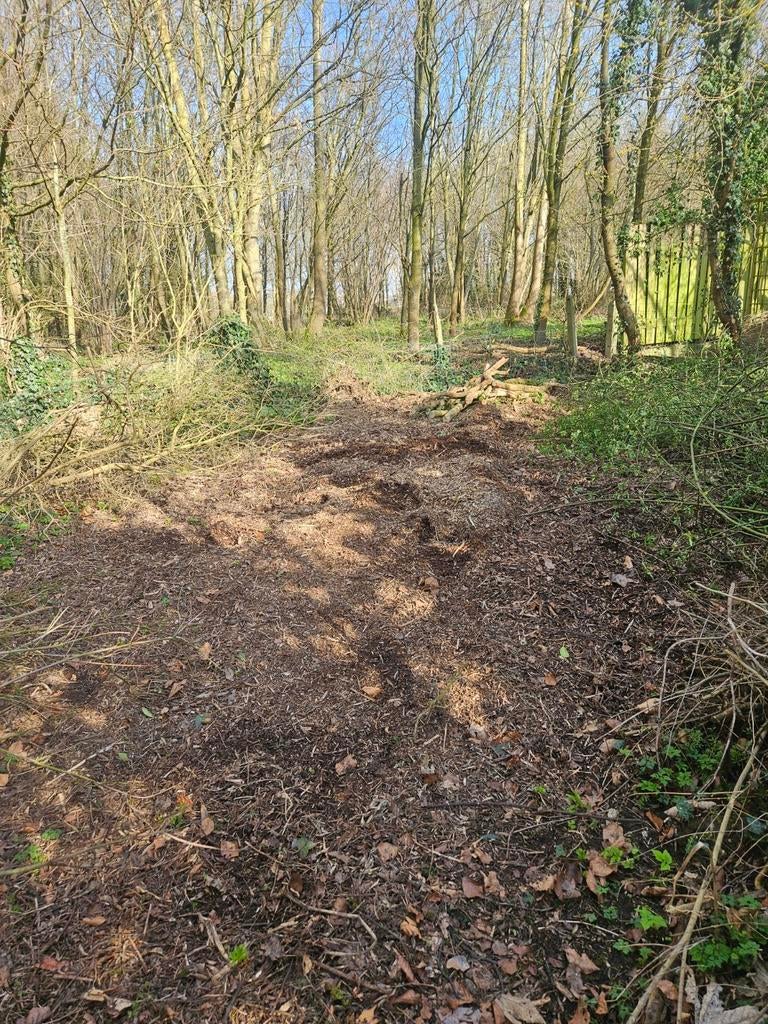 Gratis hakselhout 2025, Tuin en Terras, Ophalen of Verzenden