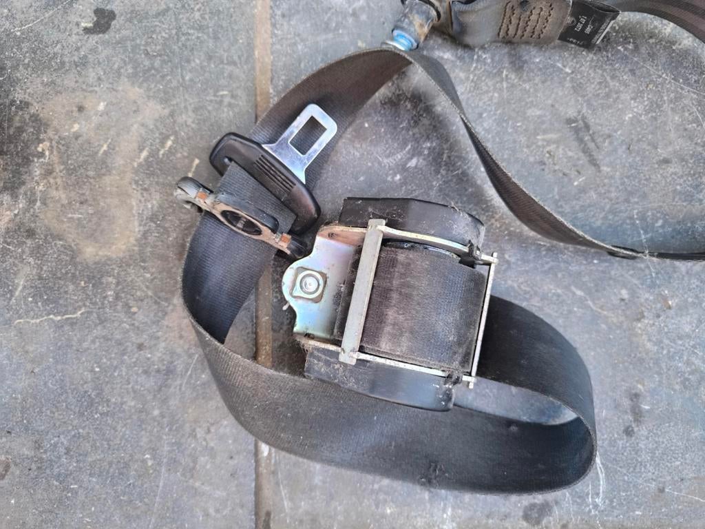 Gordel Peugeot boxer Citroen jumper fiat Ducato, Dieren en Toebehoren, Ophalen of Verzenden