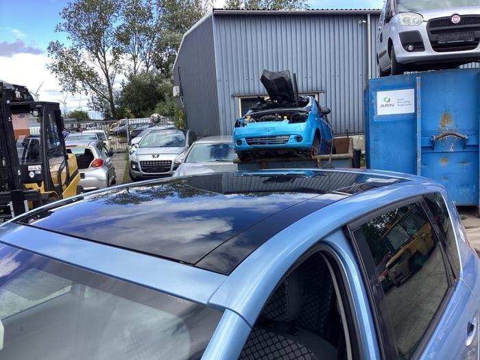 Panoramadak van een Renault Scenic (TERPA), Gebruikt, -, Renault, -