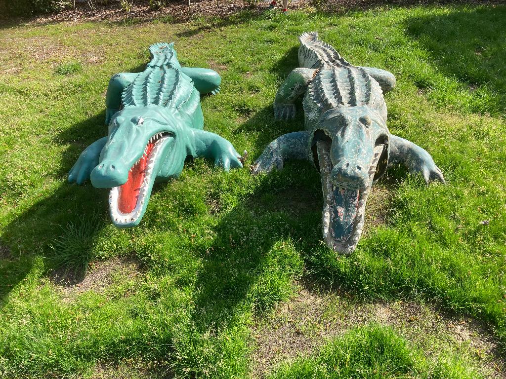 Levensgrote Krokodillen in polyester, Ophalen, Gebruikt, Dier