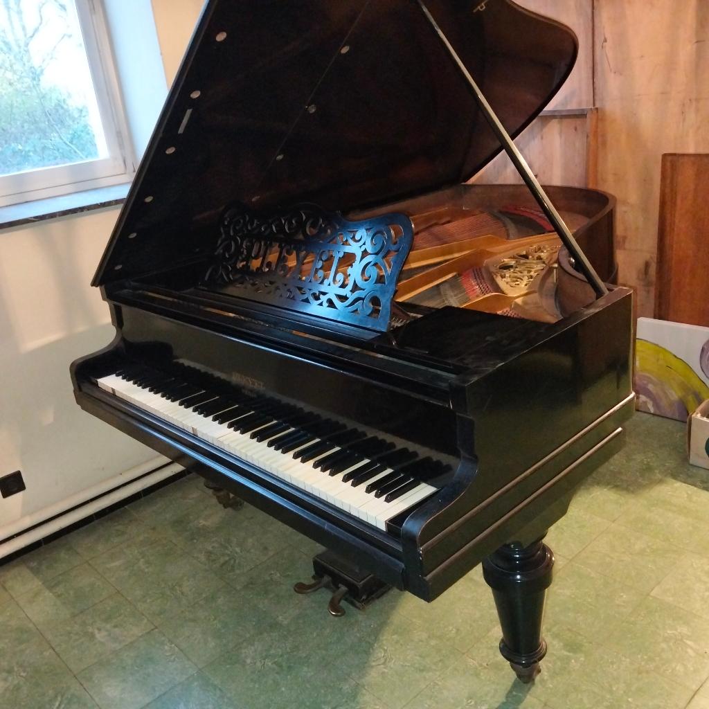 Piano à queue Pleyel de 1910, Musique & Instruments, Pianos, Brillant, Enlèvement, Utilisé, À queue