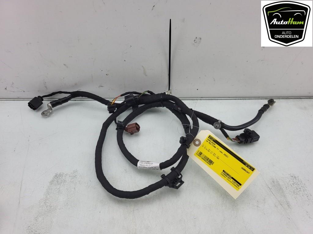 FAISCEAU DE CÂBLAGE DIVERS Multivan T7 (|7T0971599F|), Utilisé, Volkswagen