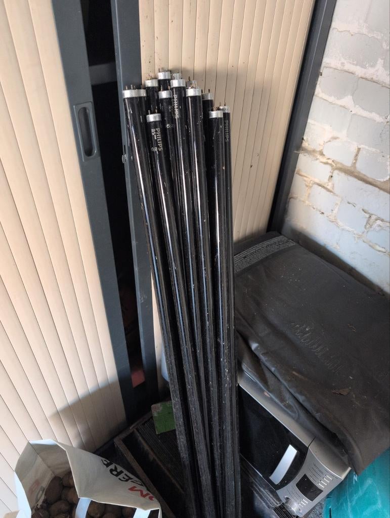 Néon, lumière noir, Enlèvement