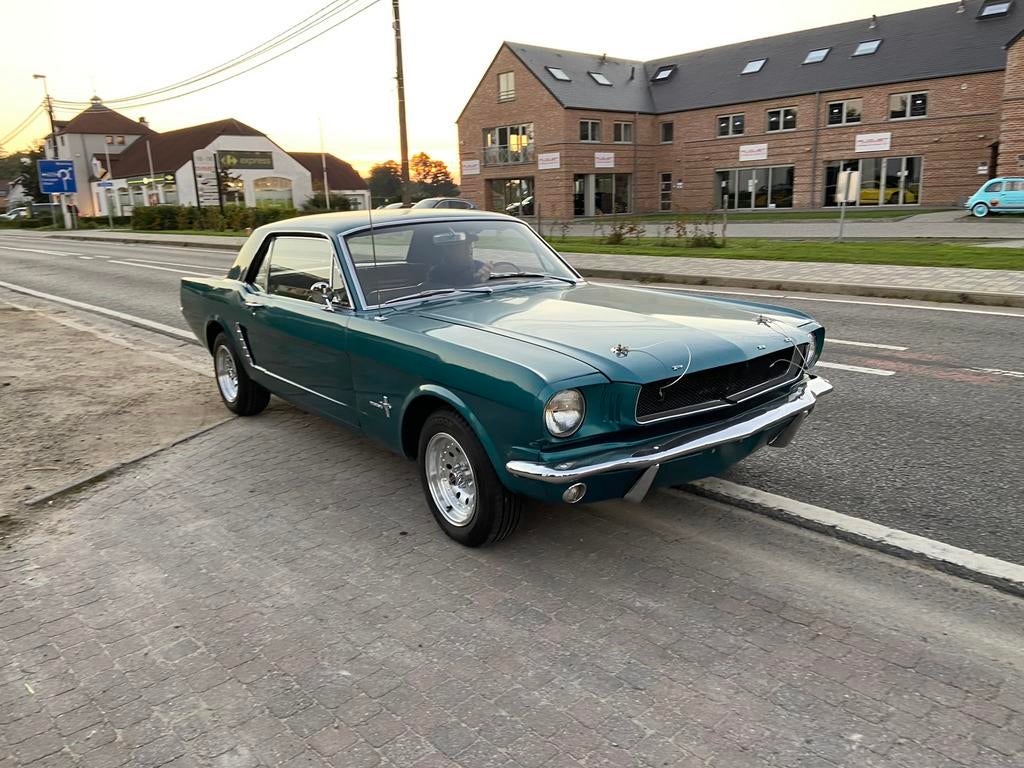 Mustang 1965 6 cilinder, Auto diversen, Handleidingen en Instructieboekjes, Ophalen