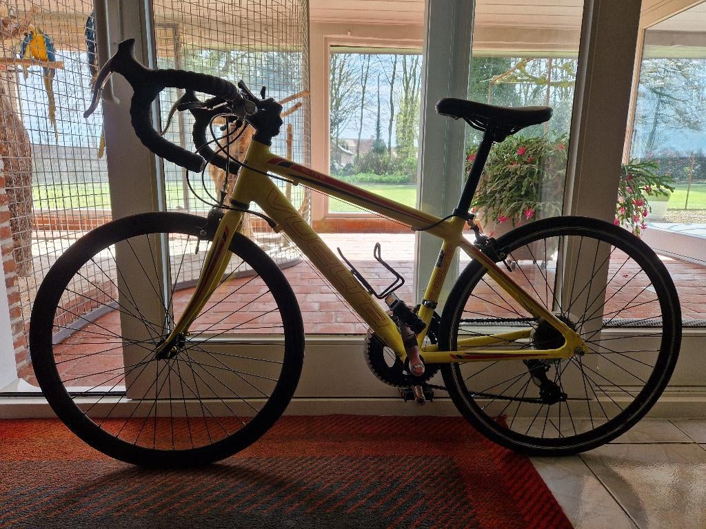 Kinder koers fiets, Enlèvement, Comme neuf, Vitesses