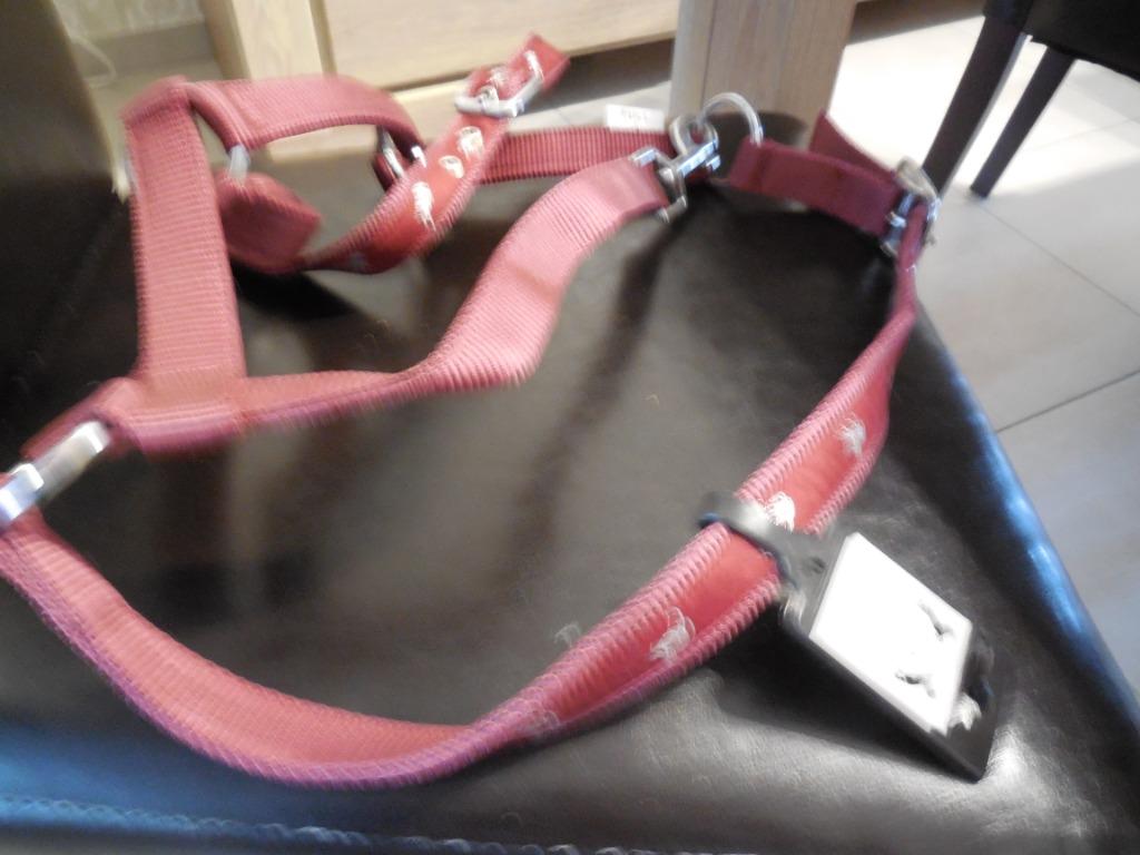 Halter à vendre pour chevaux, Enlèvement ou Envoi, Neuf, Dressage