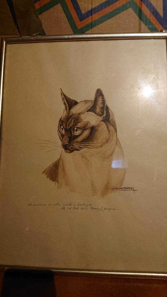 JAQUES CARTIER CHAT 1967 +- ARTISTE SIGNÉ MARCEL JAQUES, Antiquités & Art, Art | Peinture | Classique, Enlèvement ou Envoi
