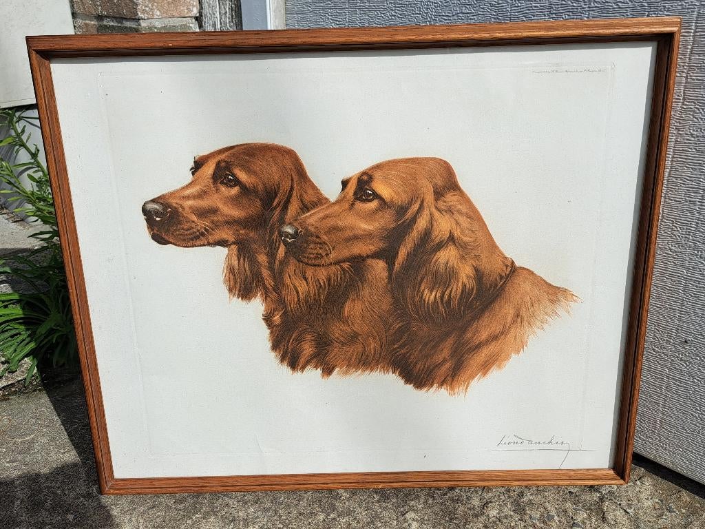 gravure signe leon danchin, Ophalen of Verzenden