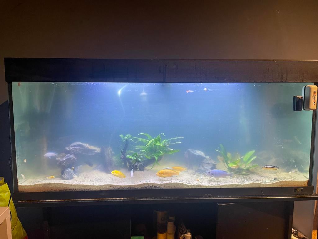 Juwel rio 240, Enlèvement, Utilisé