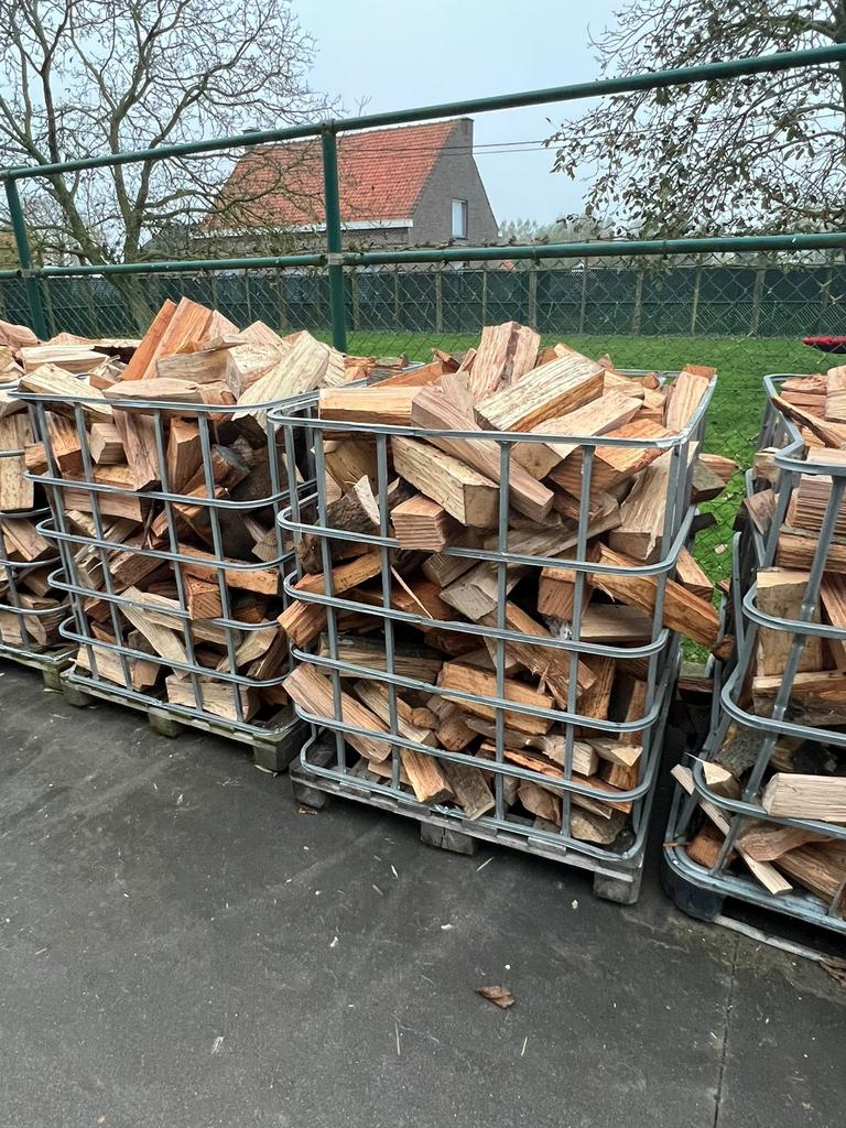 Brandhout eik en beuk per ster, Tuin en Terras, Brandhout, Ophalen