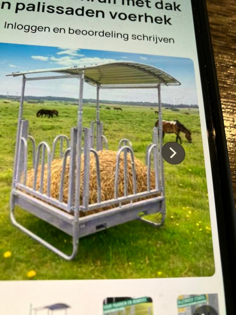 Te koop gevraagt, Dieren en Toebehoren, Paarden