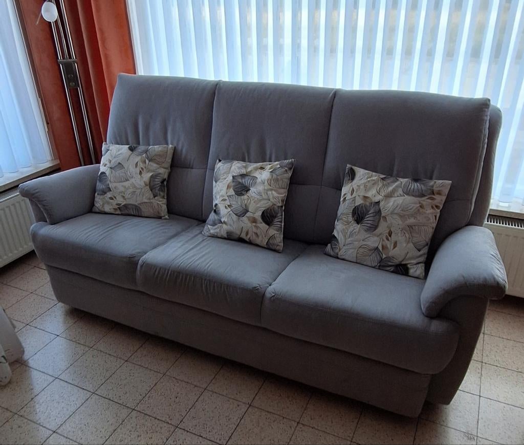 Salon 3+1+1, Enlèvement