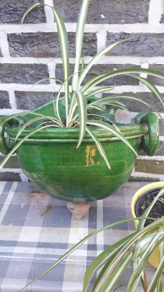 Vintage jardiniere/plantenhanger/hangbloempot Frankrijk BIOT, Antiek en Kunst, Curiosa en Brocante, Ophalen of Verzenden