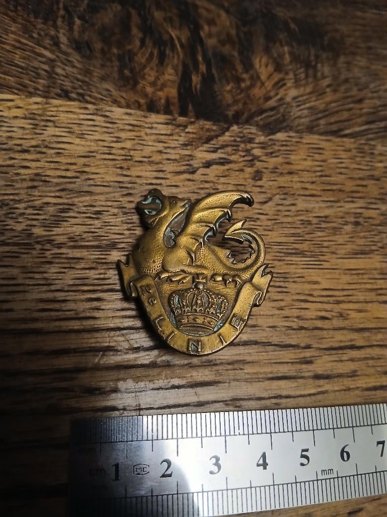 Insignia 2 regiment van lijn 2li volledig bronzen variant, Verzamelen, Militaria | Algemeen, Verzenden, Landmacht, Embleem of Badge