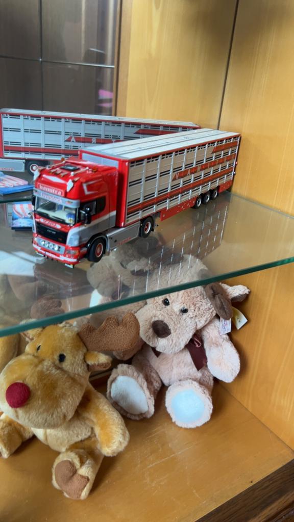 VAMITRA; SCANIA R(5) T 4X2 VEEOPLEGGER, Ophalen, Zo goed als nieuw