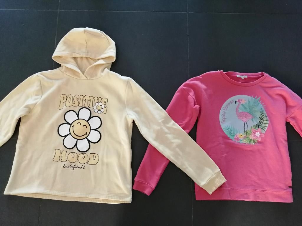 truien meisjes maat 170, Enlèvement ou Envoi, Utilisé, Fille, Pull ou Veste