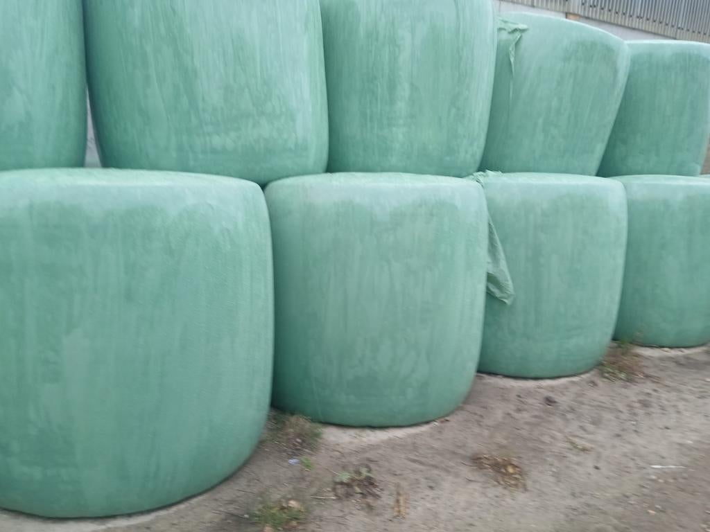 Maisbollen, Dieren en Toebehoren, Dierenvoeding, Ophalen