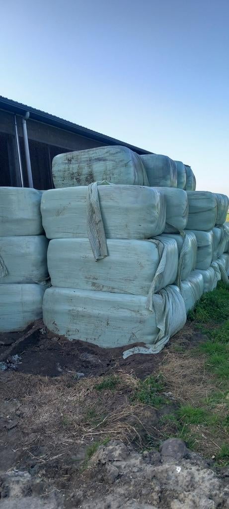 Droge voordroogpakken en balen hooi, Dieren en Toebehoren, Ophalen