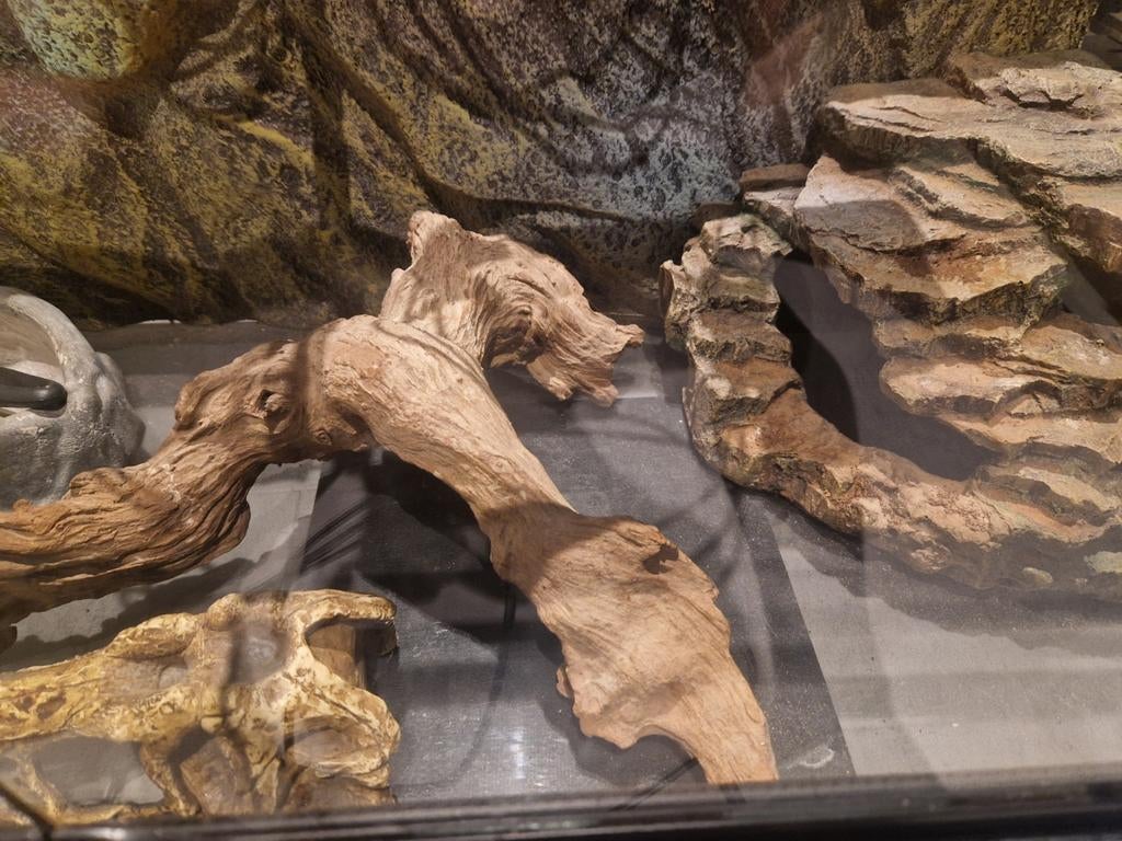 Terrarium : longueur 90 cm, largeur 45 cm et hauteur 48 cm, Animaux & Accessoires, Enlèvement, Utilisé, Terrarium ou Paludarium