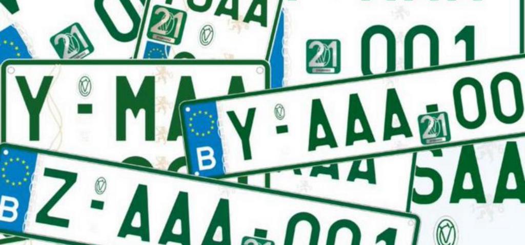 Z platen Garageplaten Keuring voor verkoop Limburg, Service 24h/24, Apk-keuring