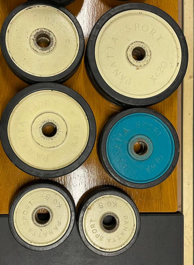 Olympische schijven van panatta, Sport en Fitness, Fitnessmaterialen, Ophalen, Gebruikt