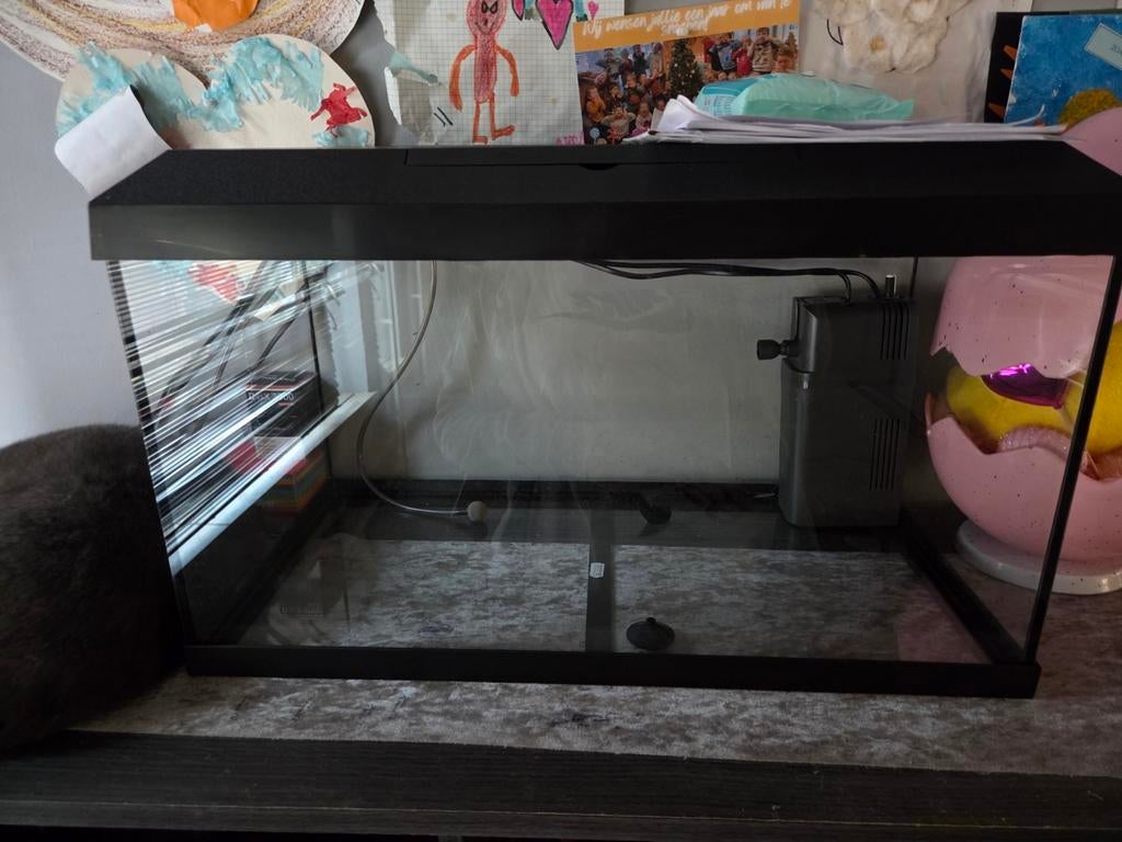 Visbak te koop., Ophalen