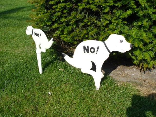 Grote hondenspecht in gietijzeren kleuren, ban, Tuin en Terras, Tuinbeelden, Ophalen of Verzenden, Nieuw, Metaal, Dierenbeeld