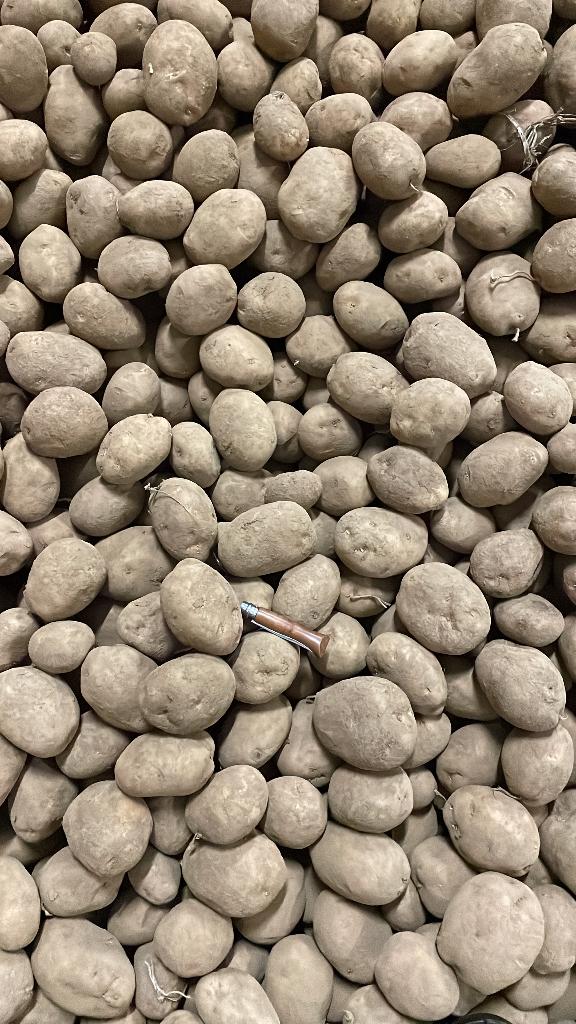 Fontane aardappelen, Ophalen