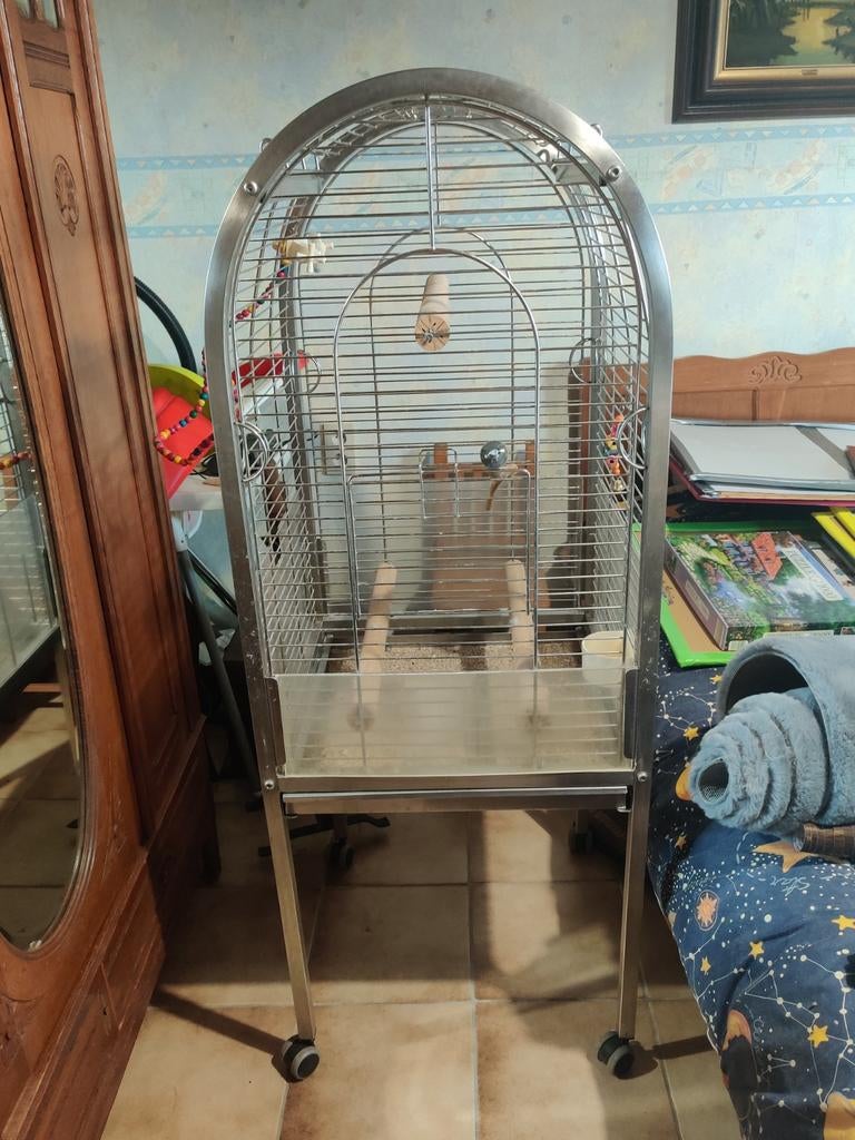 Cage à perroquets en INOX sur roulettes.
Hauteur totale : 14, Enlèvement