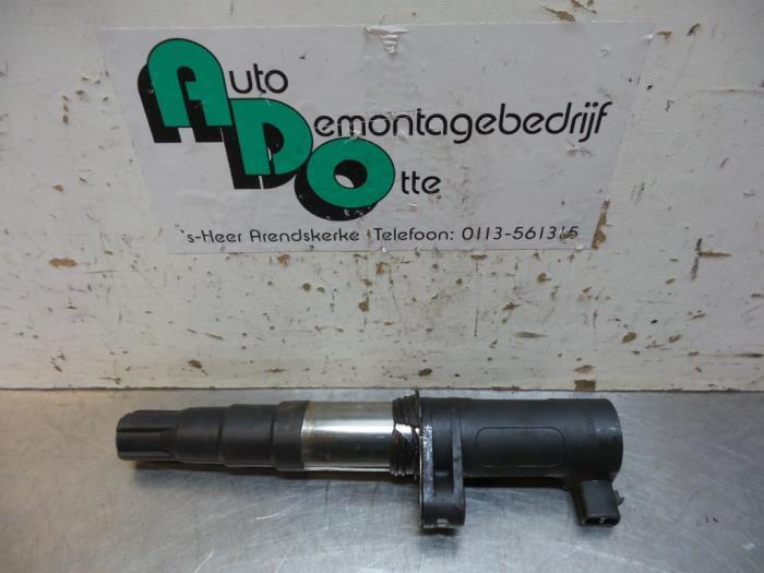 Bobine d'un Renault Laguna (Laguna 01-), Autos : Pièces & Accessoires, Moteurs & Accessoires, Renault, Utilisé, 3 mois de garantie