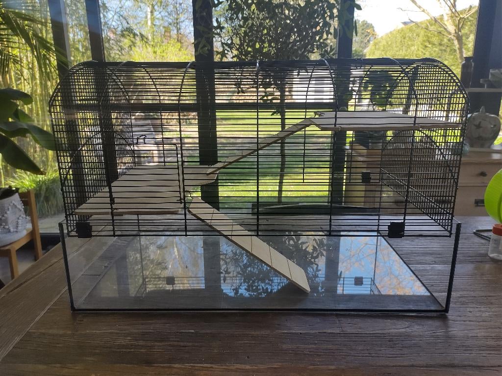 Hamsterkooi en toebehoren/speeltjes, Dieren en Toebehoren, Knaagdieren en Konijnen | Hokken en Kooien, Kooi, Gebruikt, Minder dan 75 cm