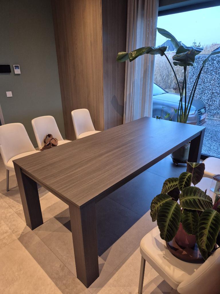 Eettafel voor 6 personen, Huis en Inrichting, Tafels | Eettafels, Ophalen, Overige materialen, Gebruikt, 200 cm of meer