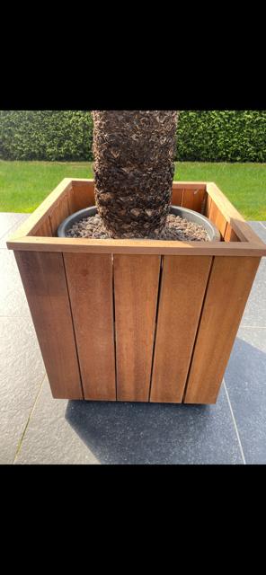 Padoek plantbak op wielen, Ophalen, Nieuw, Hout