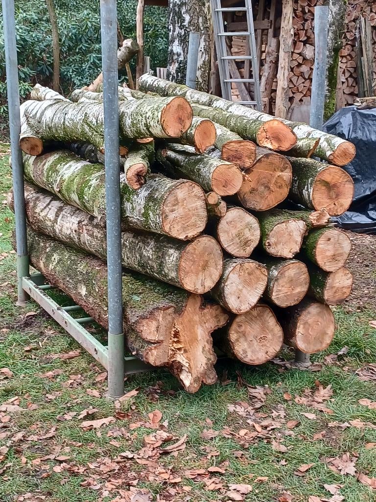 brandhout te koop, Tuin en Terras, Ophalen, Stammen