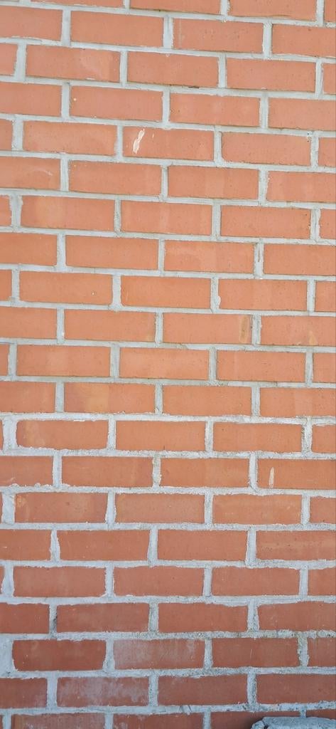 Rode gevelstenen te koop, Doe-het-zelf en Bouw, Metselstenen, Ophalen