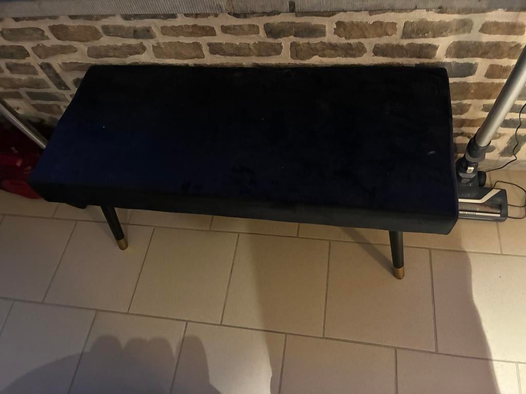 Banc velours, Maison & Meubles, Enlèvement, Comme neuf