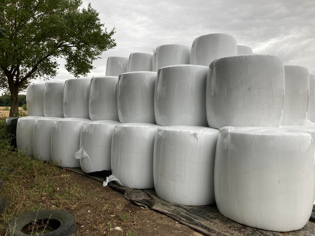 Grote maisbalen 2025, Dieren en Toebehoren, Paarden