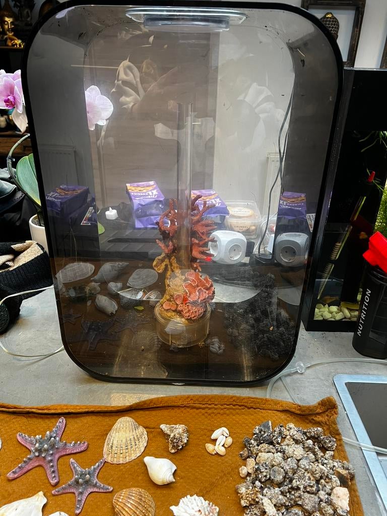 Biorb life 45 aquarium met alle decoratie’s en benodigdheden, Ophalen, Gebruikt