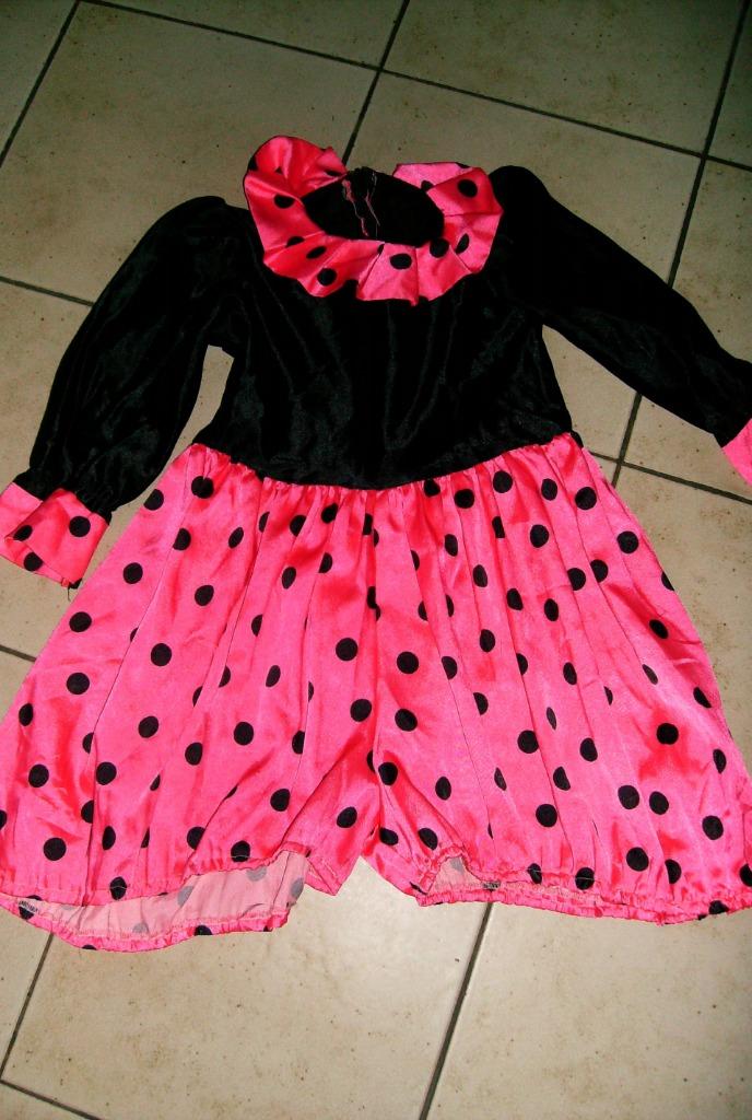 karnaval verkleed kleertjes voor kinderen, Ophalen of Verzenden, Gebruikt, Meisje