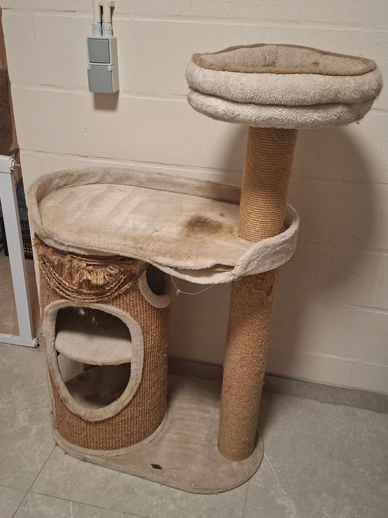 Kattenpaal, gratis af te halen in Peer, Dieren en Toebehoren, Ophalen