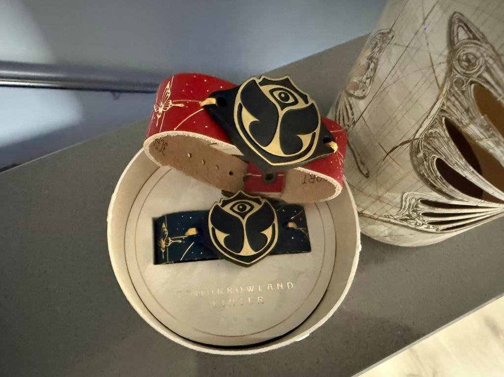 Tomorrowland 2026 Winter