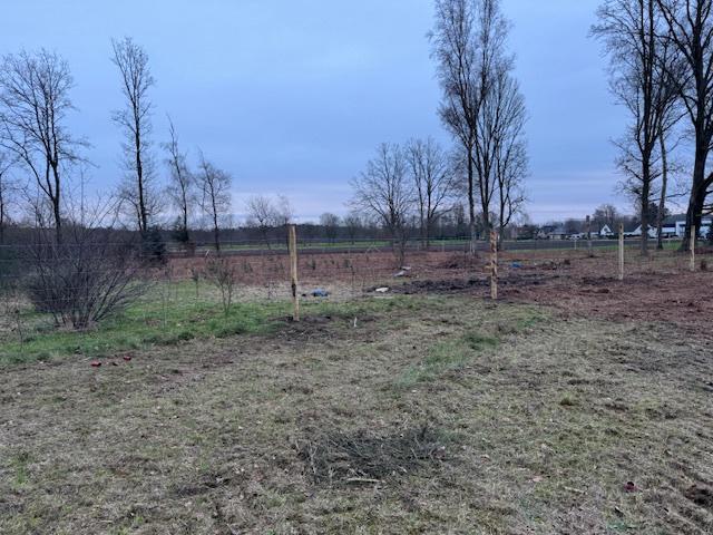 Te koop perceel bos gelegen Steken/Klein-Sinaai, Klein-Sinaai, 1500 m² of meer