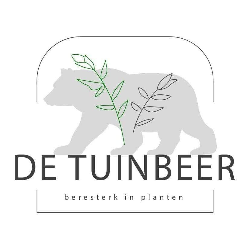 De Tuinbeer - Planten, Tuin en Terras, Planten | Tuinplanten, Ophalen, Siergrassen