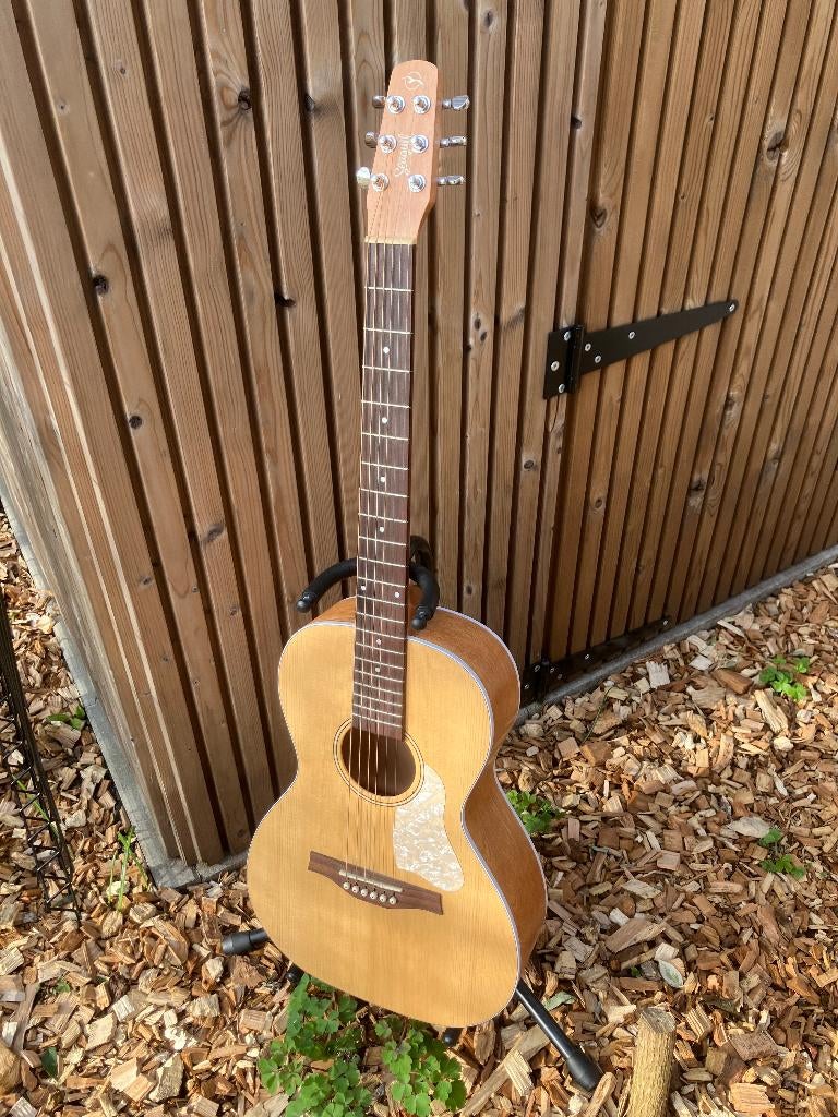 Seagull Entourage Grand Natural Almond Parlor gitaar, Muziek en Instrumenten, Snaarinstrumenten | Gitaren | Akoestisch, Ophalen