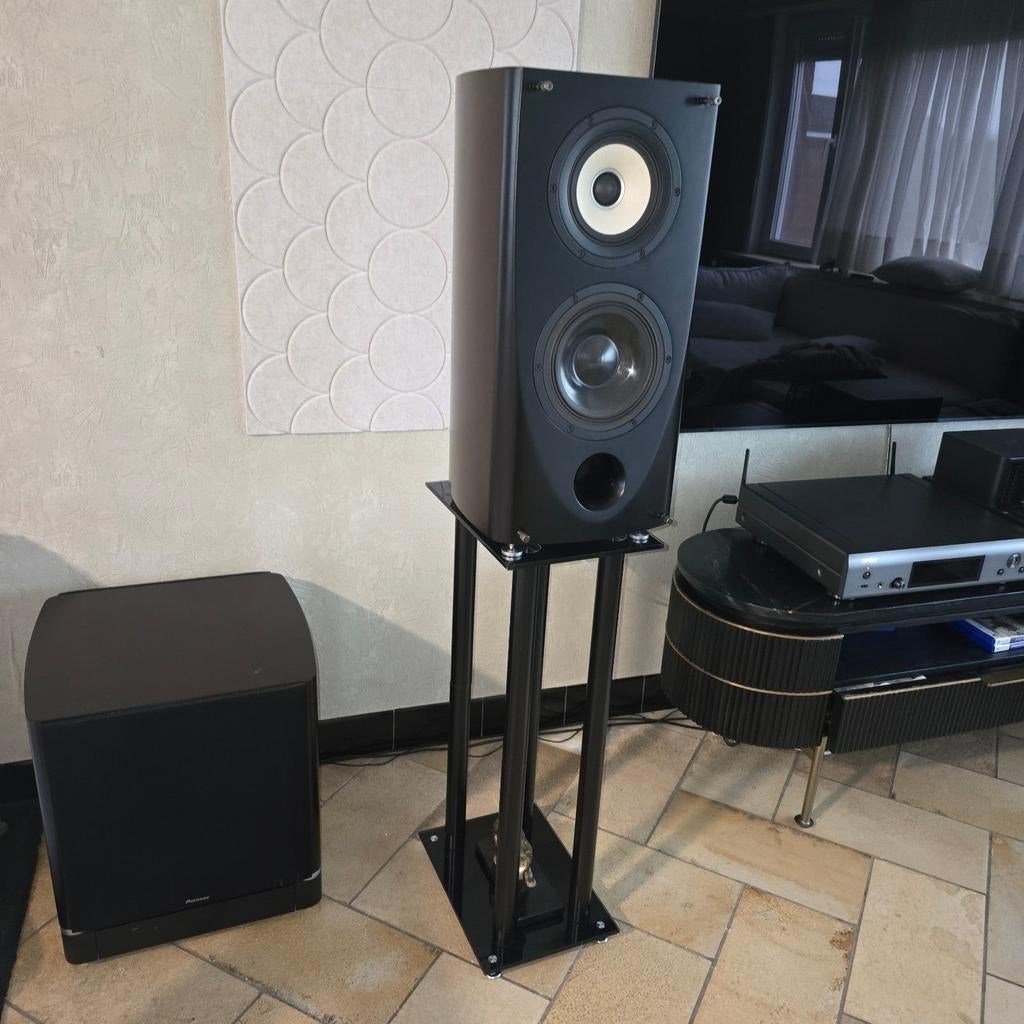 Pioneer/TAD s2-ex, Enlèvement