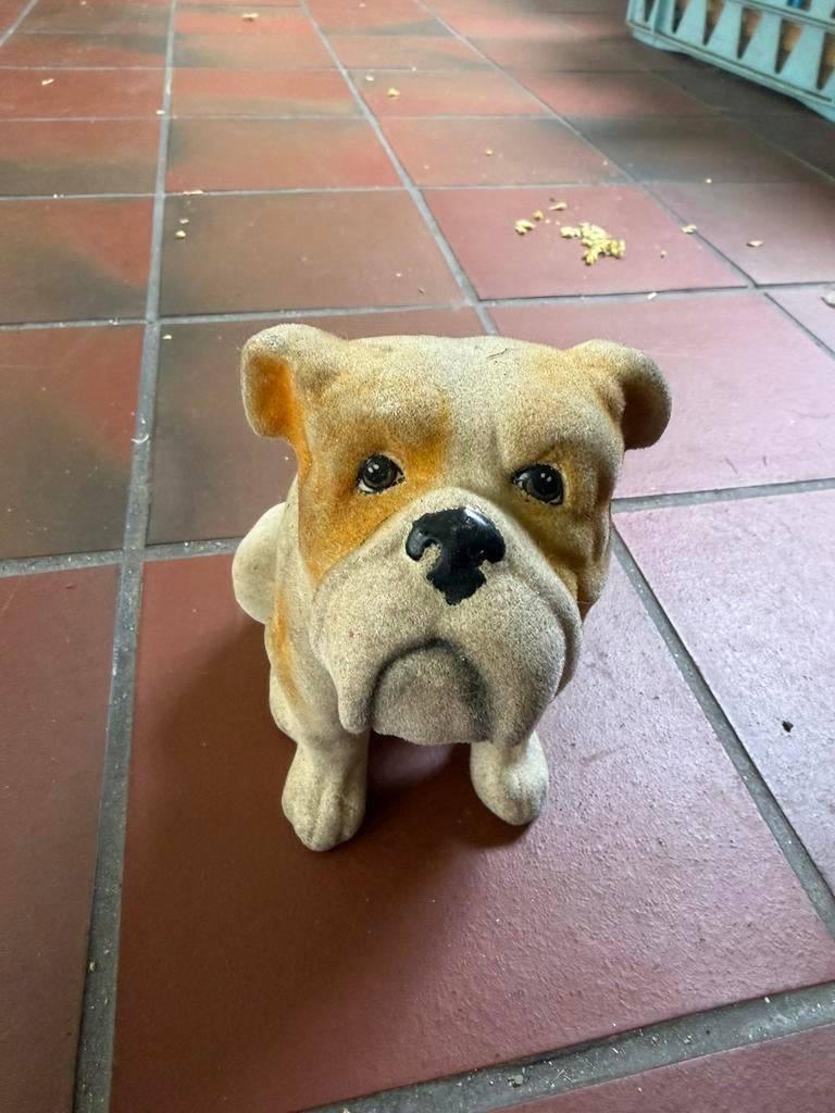 Engels bulldog, Enlèvement, Comme neuf