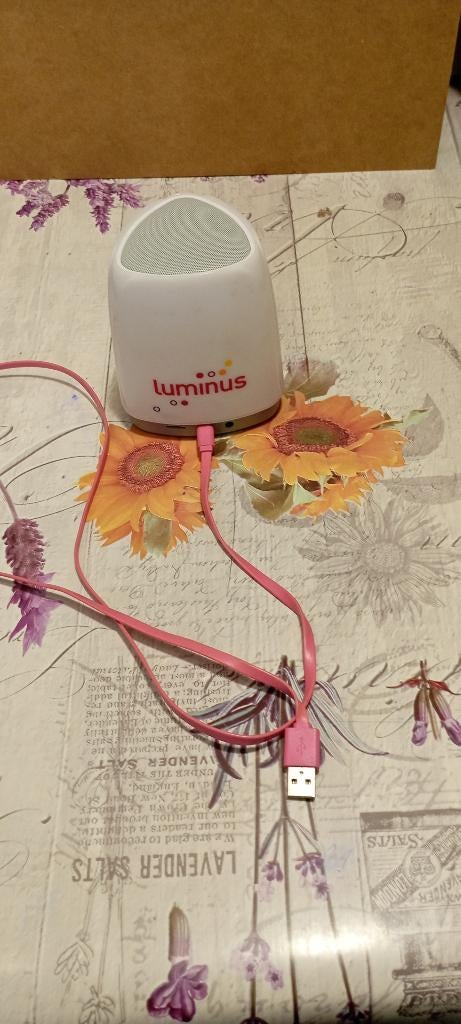 Enceinte Bluetooth., TV, Hi-fi & Vidéo, Enceintes, Enlèvement ou Envoi, Utilisé