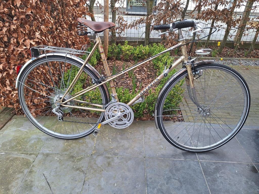 Batavus Sprint Intercycle 1981, Vélos & Vélomoteurs, Enlèvement, Batavus