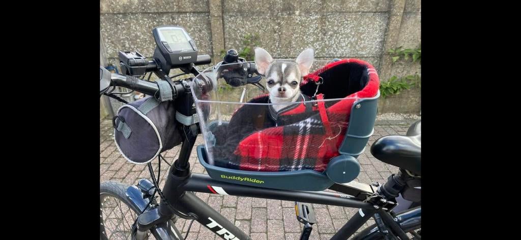 Hondenfietsmand , buddyrider voor kleine hond, Dieren en Toebehoren, Ophalen, Zo goed als nieuw, Overige